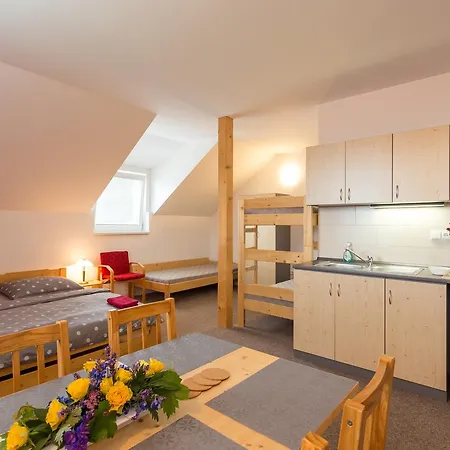 Guest house Ubytovani Dyje 3*