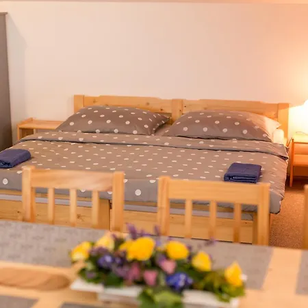 Ubytovani Dyje Guest house 3*